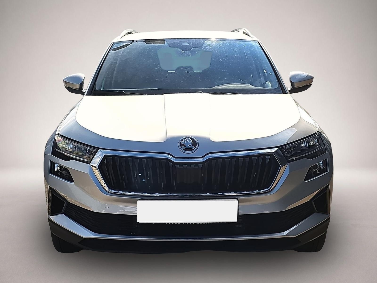 Skoda Karoq (03/2025, Benzin)
