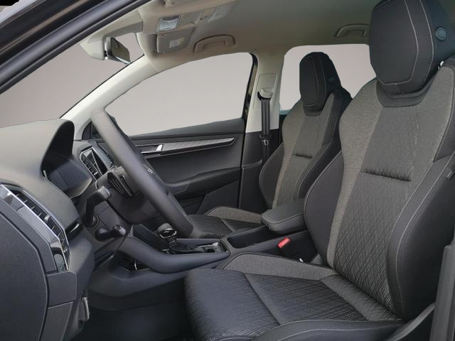 Skoda Karoq (06/2026, Benzin)