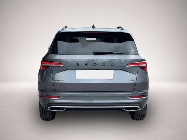 Skoda Karoq (07/2026, Benzin)
