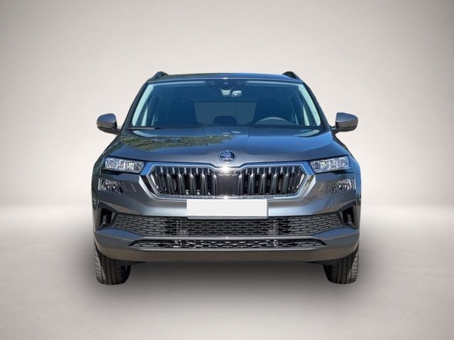 Skoda Karoq (06/2026, Benzin)
