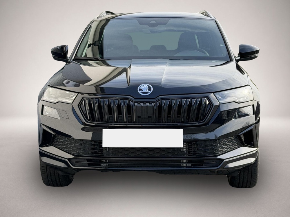 Skoda Karoq, Bild 3 von 5