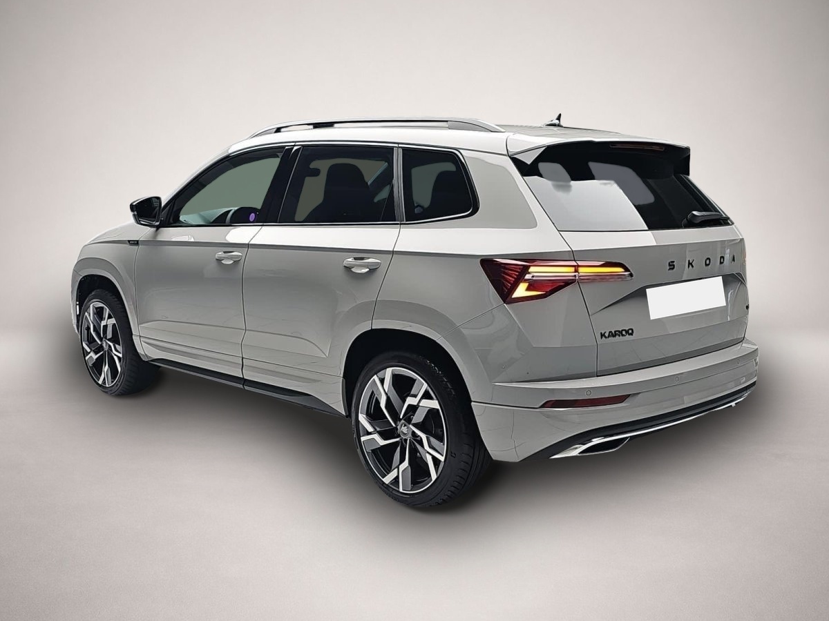 Skoda Karoq (04/2026, Benzin)