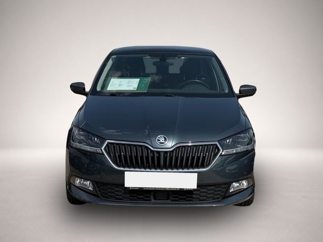 Skoda Fabia (02/2021, Benzin)