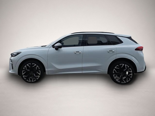 Cupra Terramar (05/2026, Benzin)