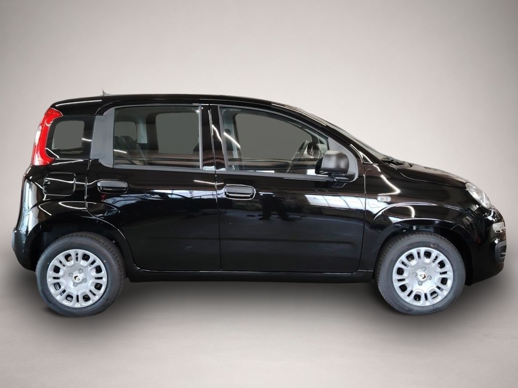 Fiat Other (06/2026, Benzin)