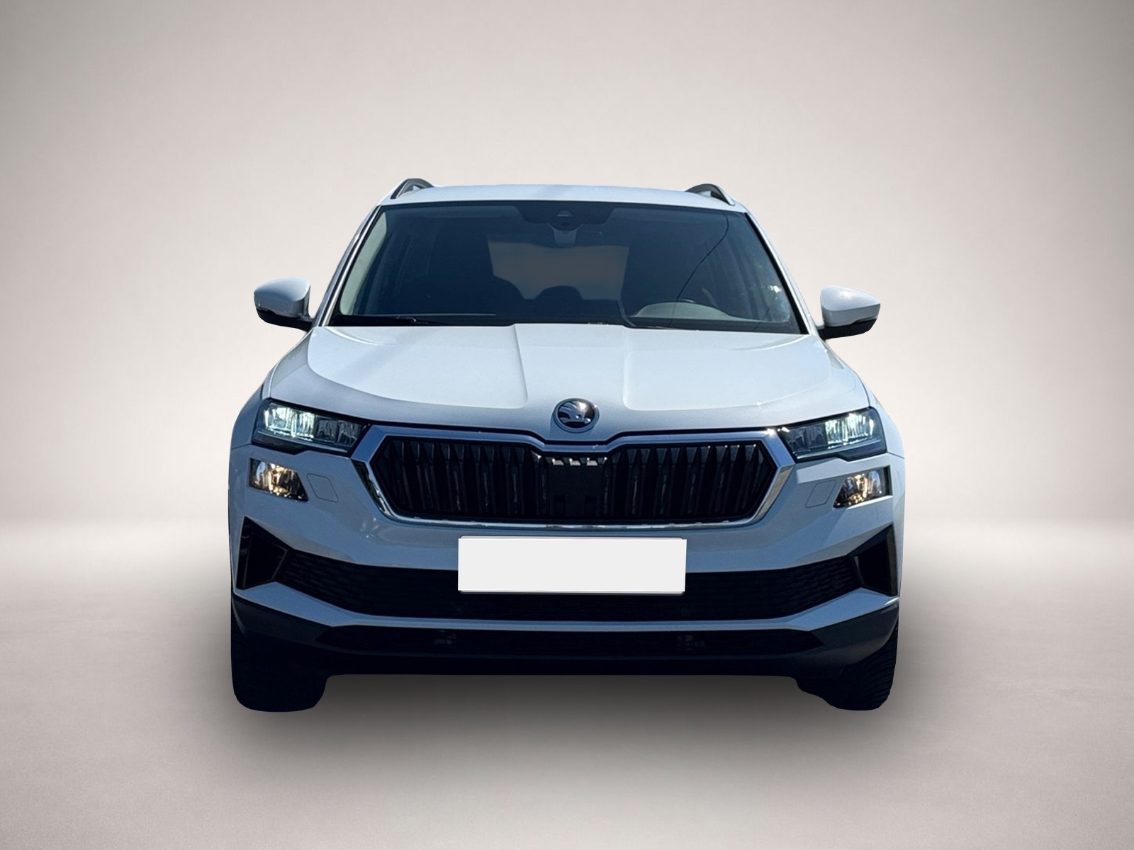 Skoda Karoq (12/2024, Diesel)