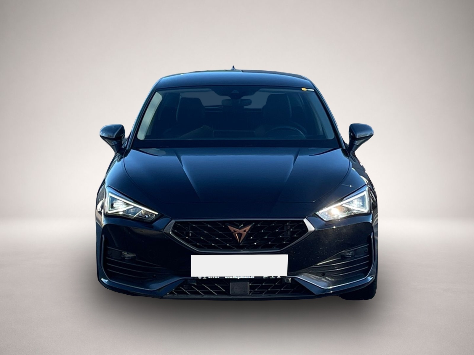 Cupra Leon (02/2024, Diesel)
