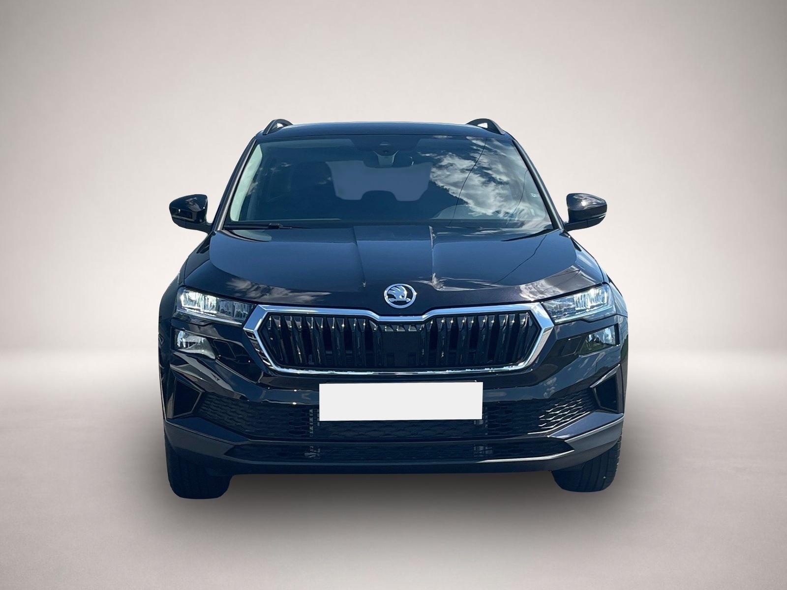 Skoda Other (06/2026, Benzin)