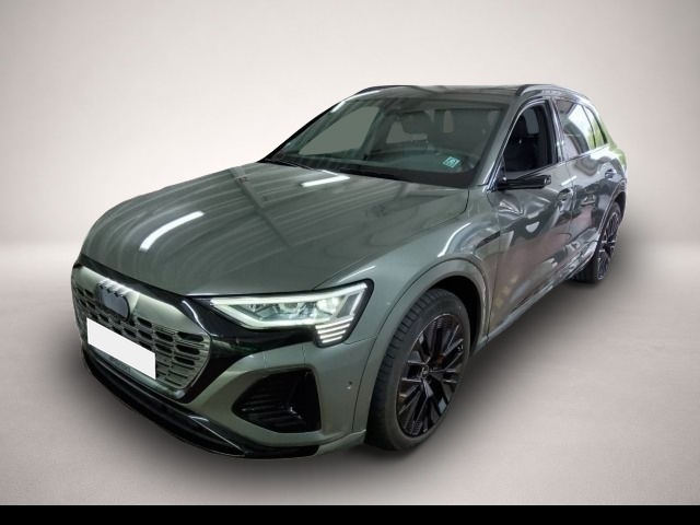 Audi Q8 e-tron (04/2023, ELECTRIC)