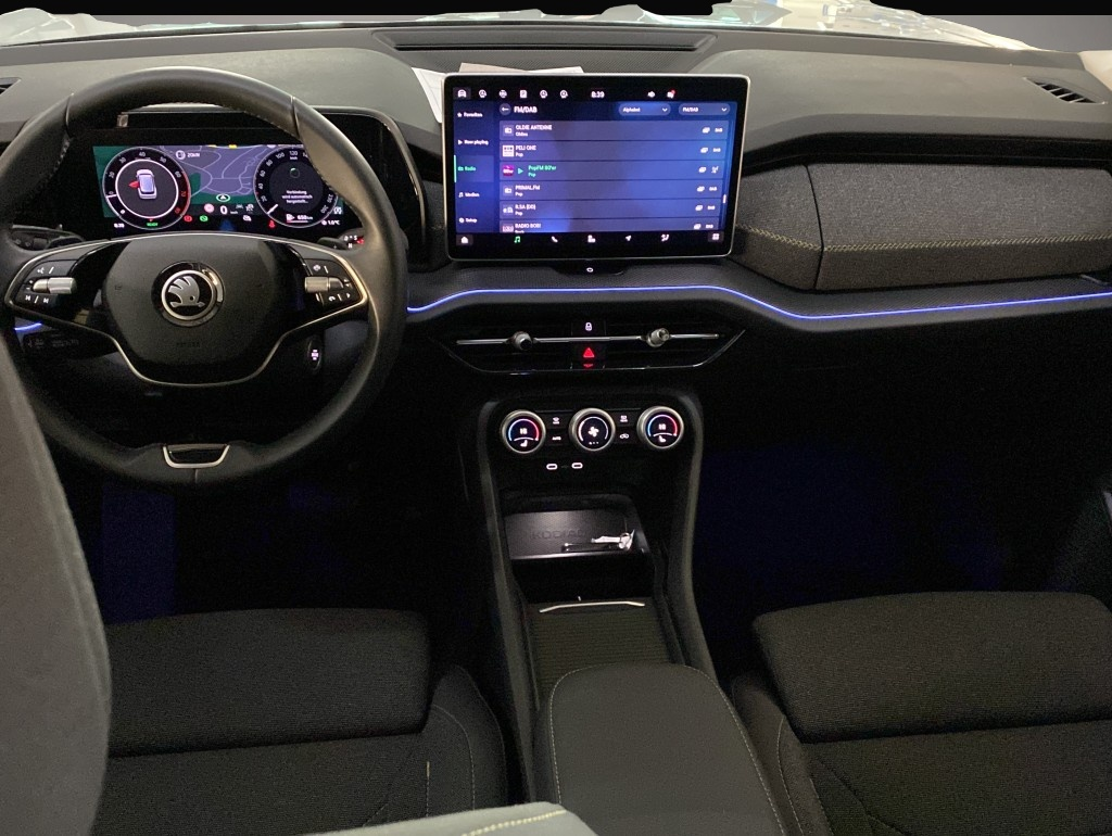 Skoda Kodiaq (06/2024, )
