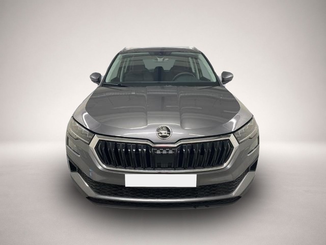 Skoda Karoq (06/2026, Benzin)