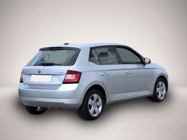Skoda Fabia (02/2018, Benzin)