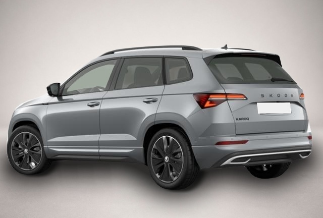 Skoda Karoq (07/2026, Benzin)