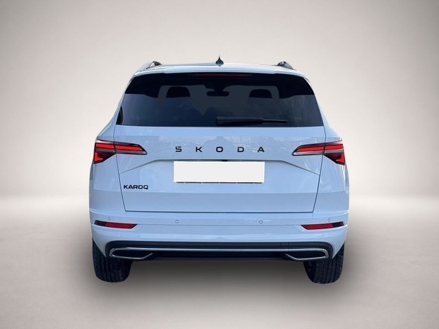 Skoda Karoq (04/2026, Benzin)