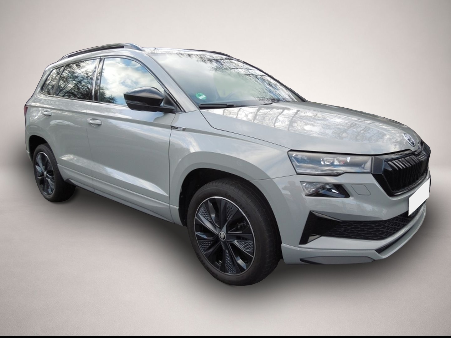 Skoda Karoq (02/2025, Benzin)