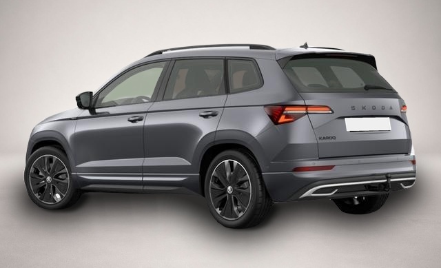 Skoda Karoq (07/2026, Benzin)