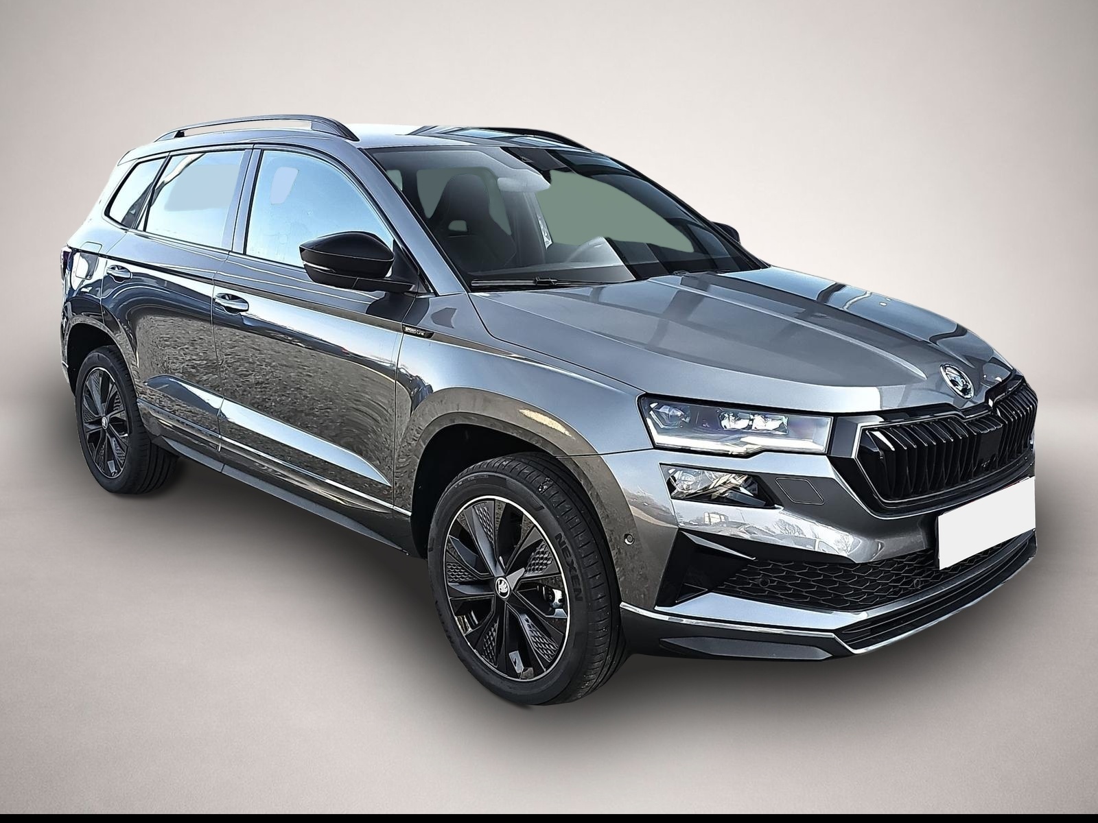 Skoda Karoq (04/2026, Benzin)