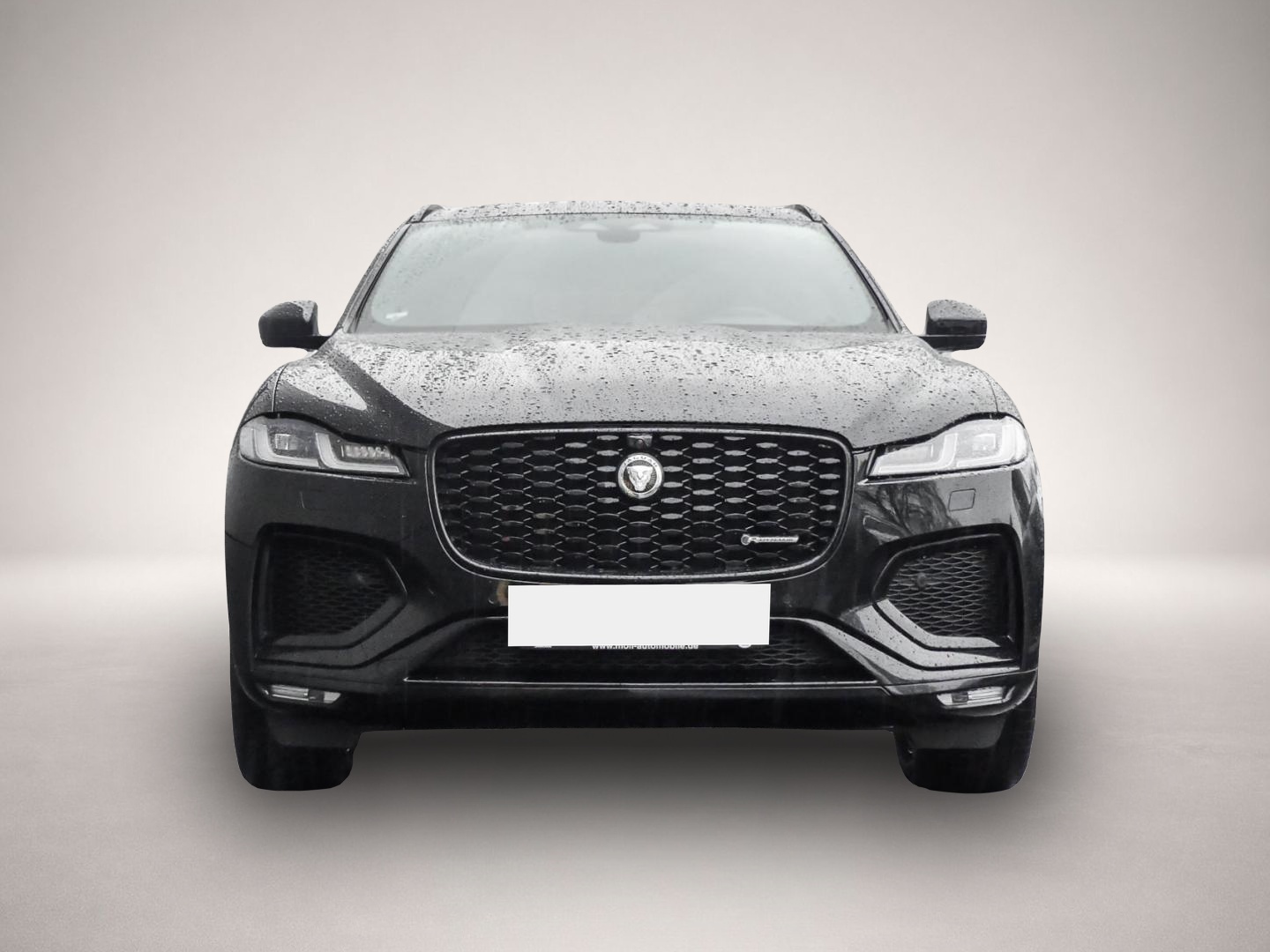 Jaguar F-Pace (12/2023, Hybrid (Benzin/Elektro))