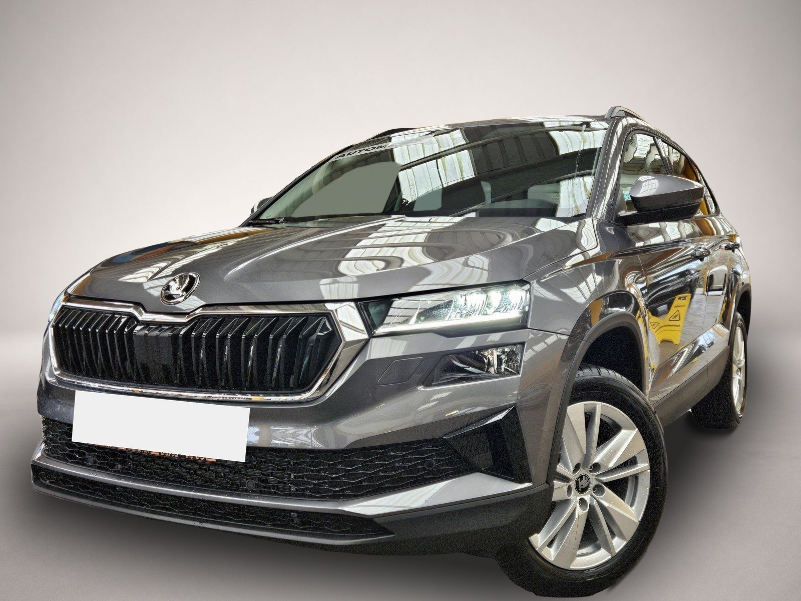 Skoda Karoq (01/2026, Benzin)
