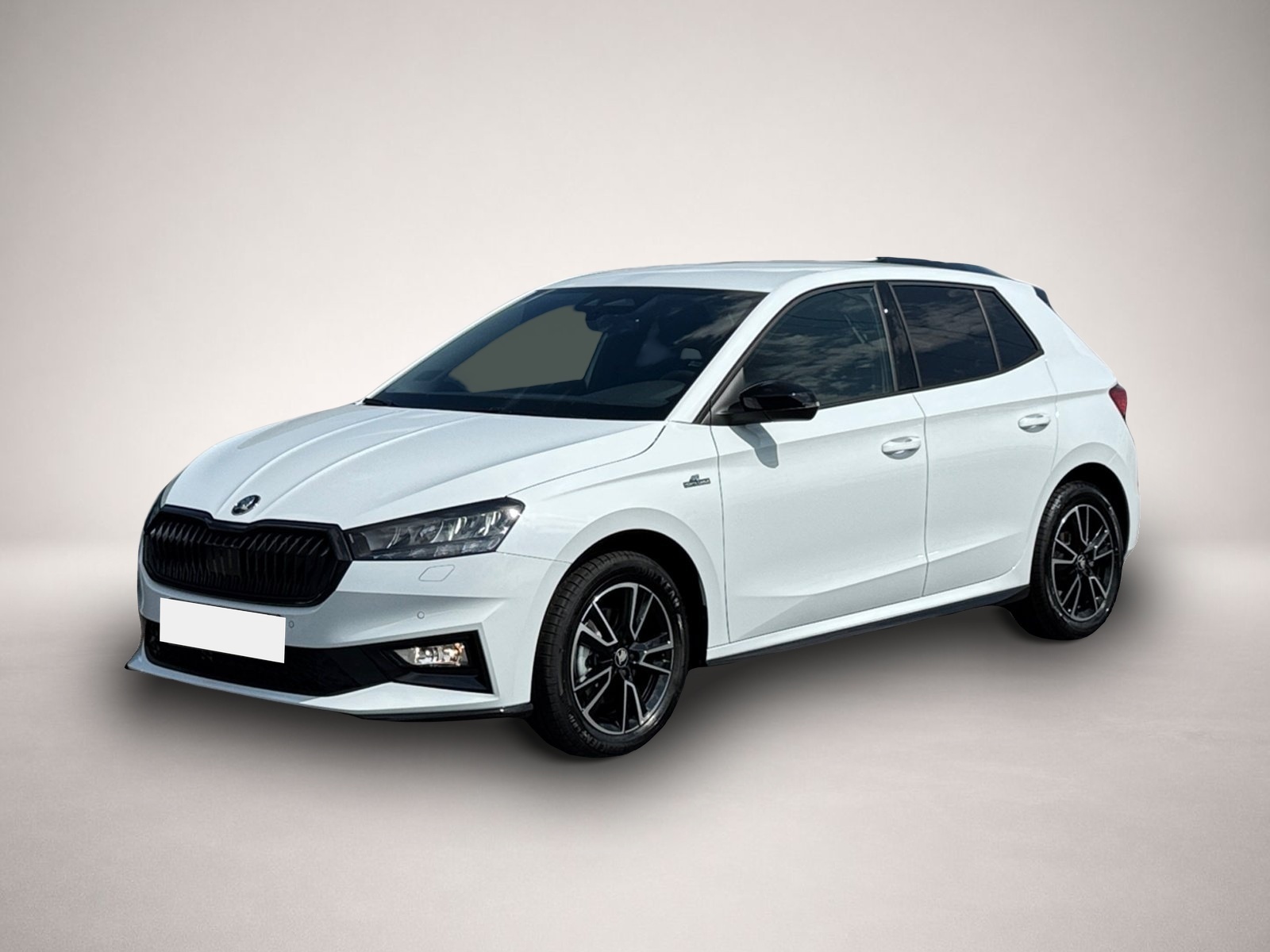 Skoda Fabia (07/2026, Benzin)