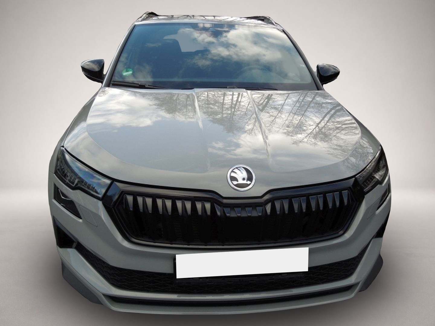 Skoda Karoq (02/2025, Benzin)