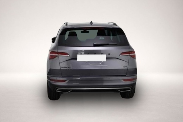 Skoda Karoq, image 4 of 4