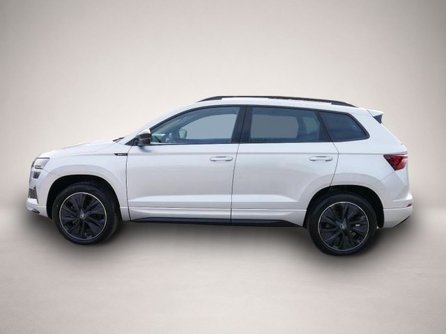 Skoda Karoq (04/2026, Benzin)