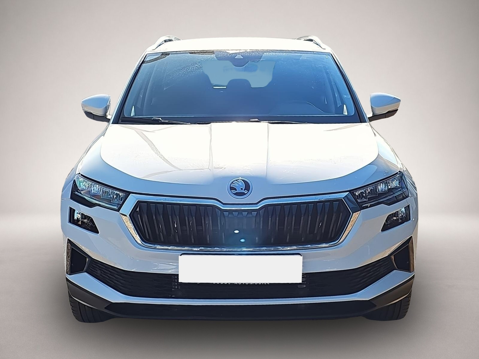Skoda Karoq (01/2025, Benzin)