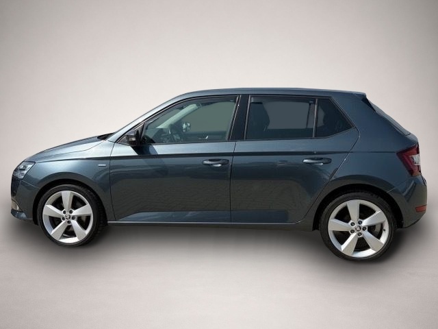 Skoda Fabia (02/2021, Benzin)
