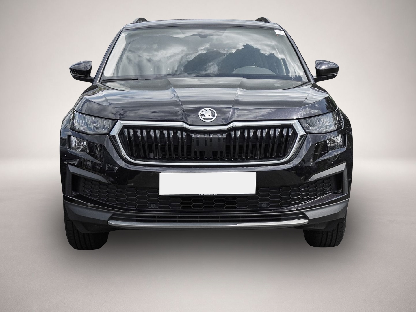 Skoda Kodiaq (04/2022, )