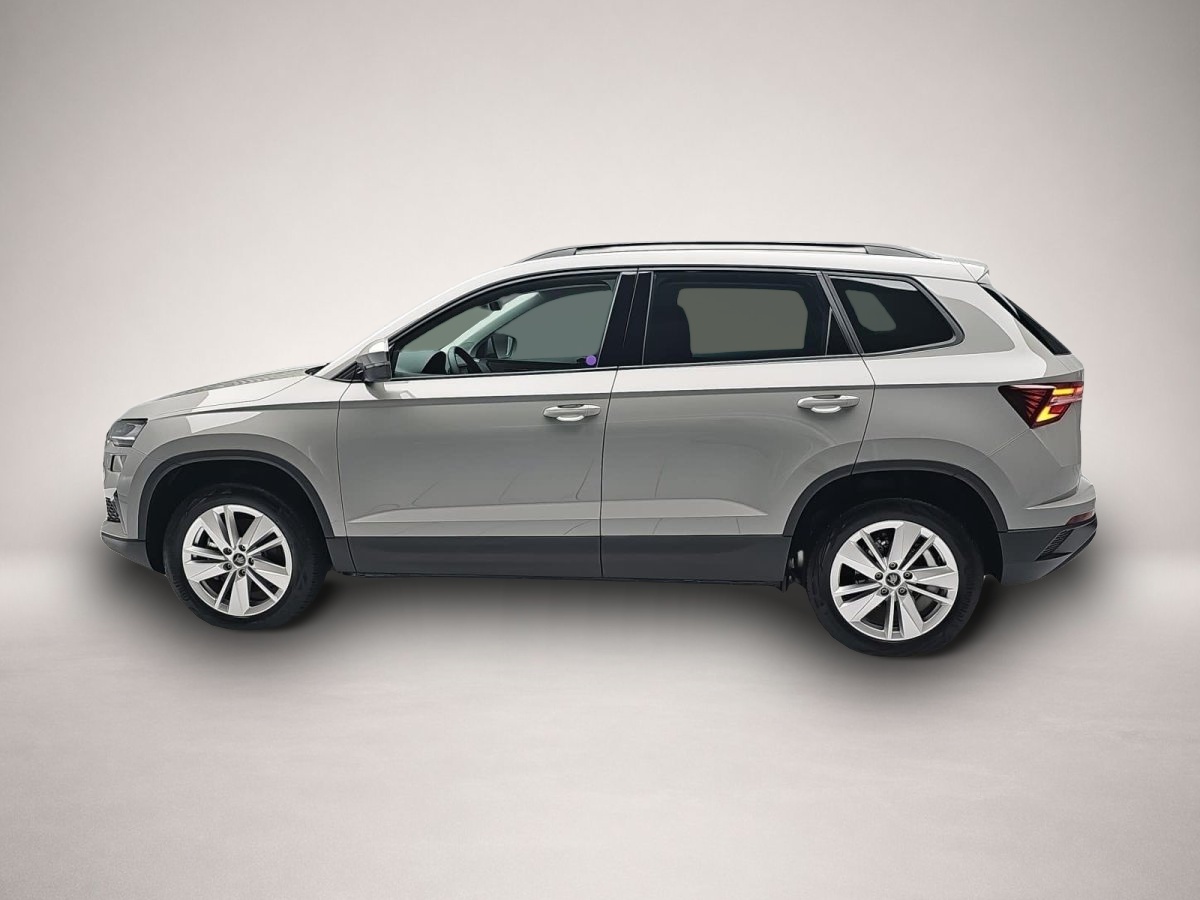 Skoda Karoq, image 4 of 4