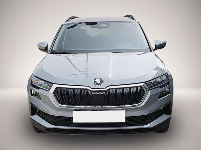 Skoda Karoq (07/2026, Benzin)