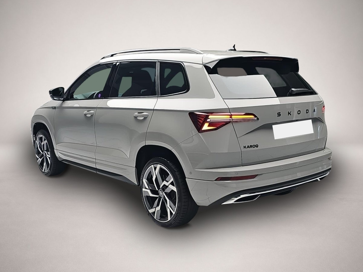 Skoda Karoq (06/2026, Benzin)