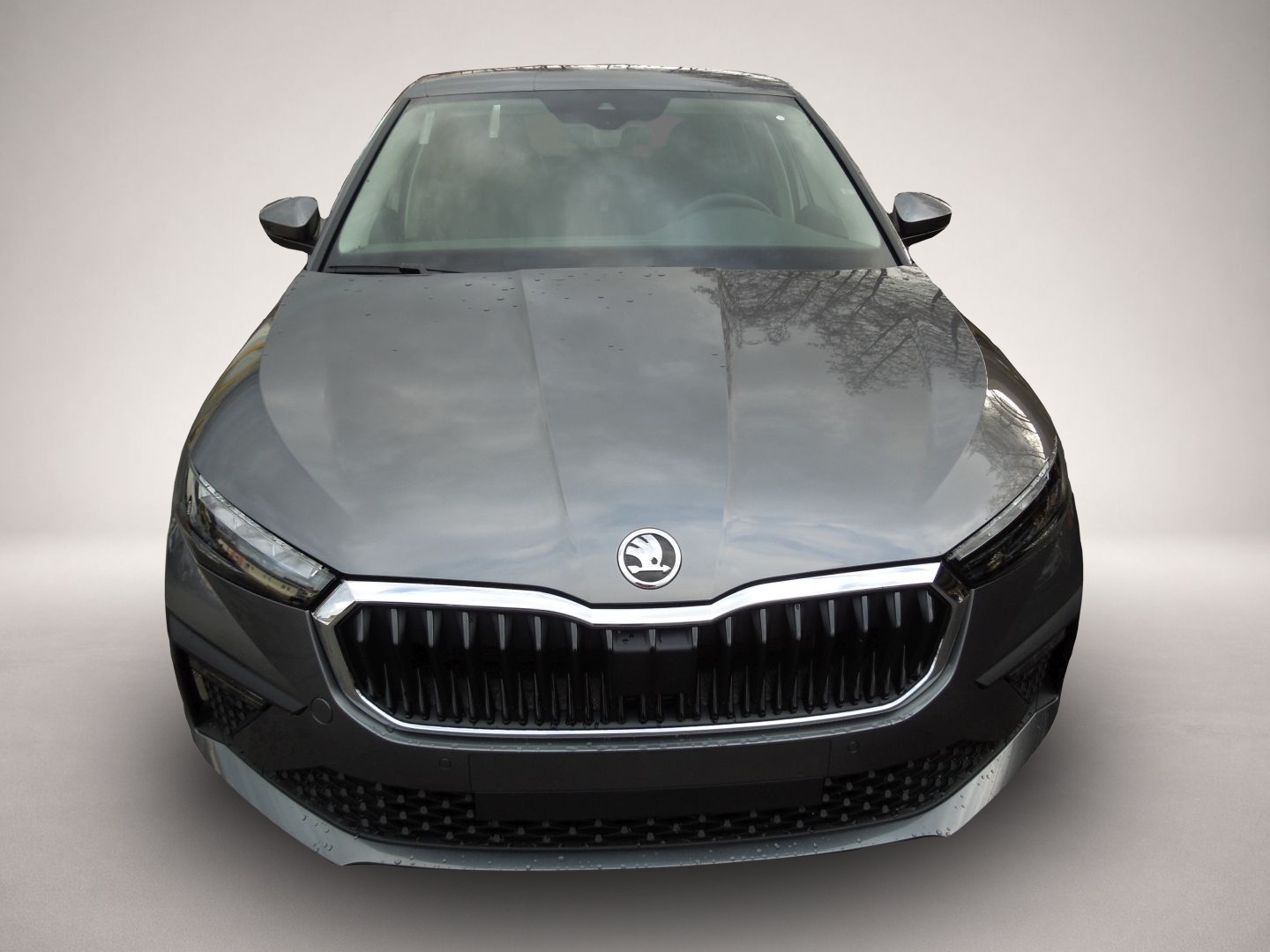 Skoda Scala, Bild 2 von 5