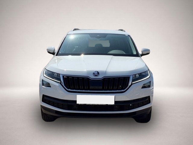 Skoda Kodiaq (11/2019, )