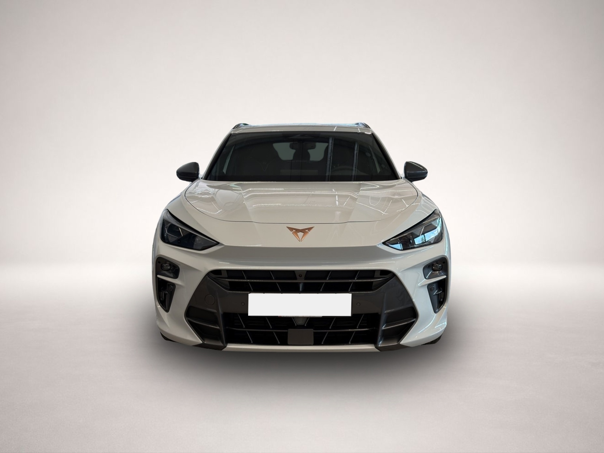 CUPRA Terramar, Bild 2 von 5