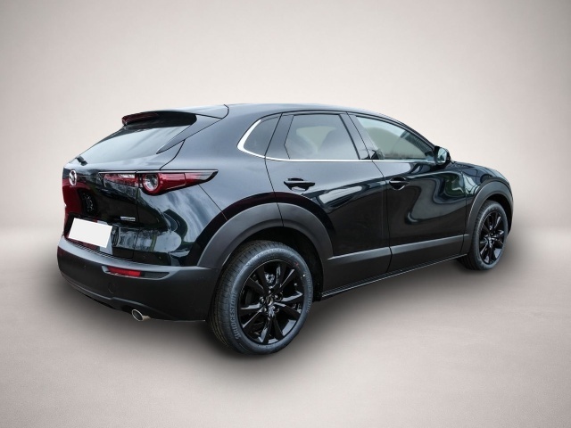 Mazda CX-30 (03/2026, Benzin)