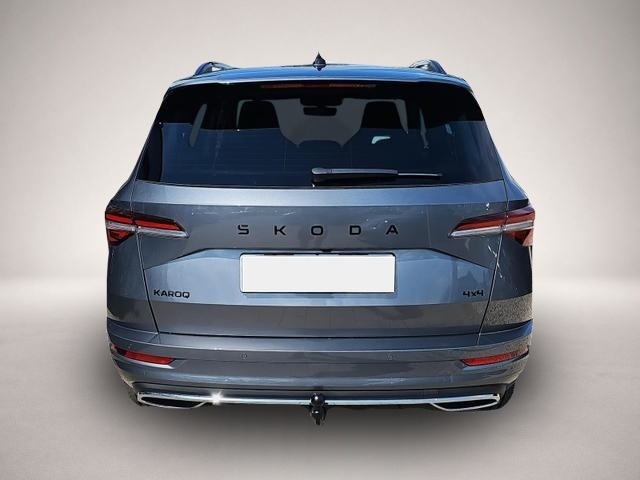Skoda Karoq (02/2026, Benzin)