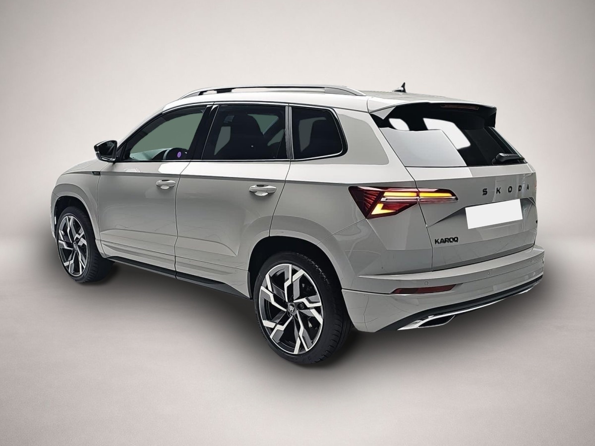 Skoda Karoq, image 3 of 4