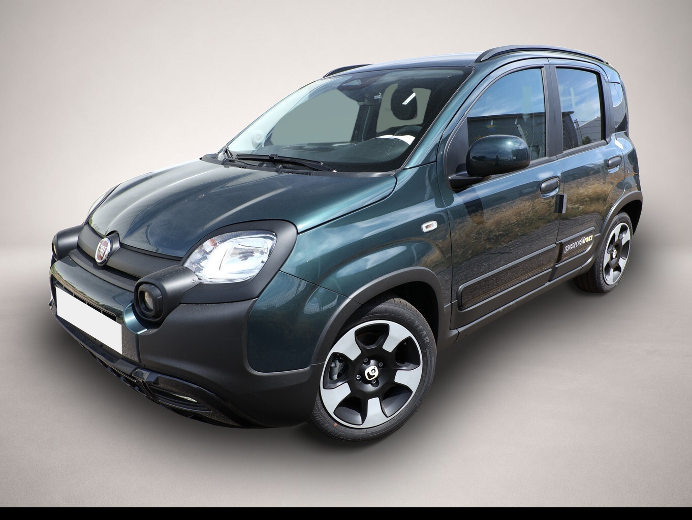 Fiat Panda (05/2026, Benzin)