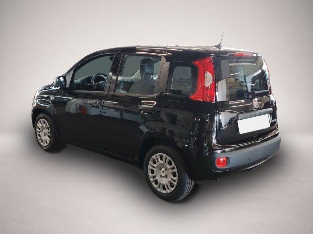 Fiat Other (06/2026, Benzin)