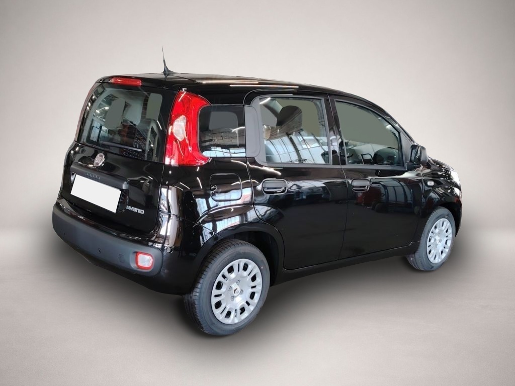 Fiat Other (06/2026, Benzin)