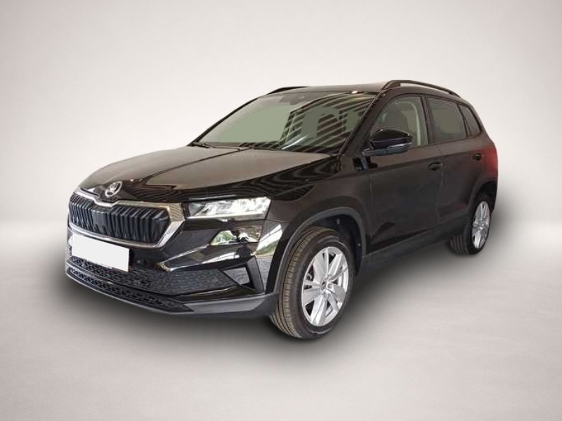Skoda Karoq (11/2024, )