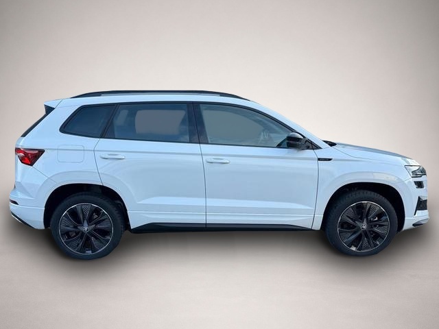 Skoda Karoq (04/2026, Benzin)