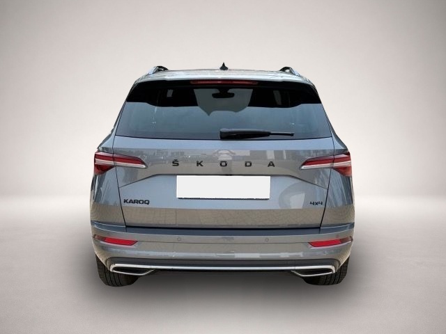 Skoda Karoq (11/2022, )