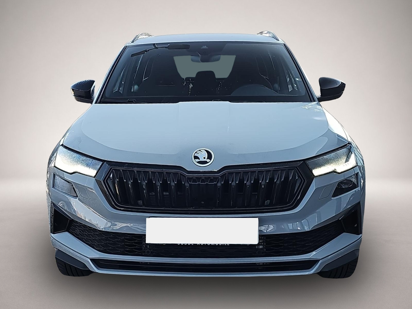 Skoda Karoq (04/2026, Benzin)