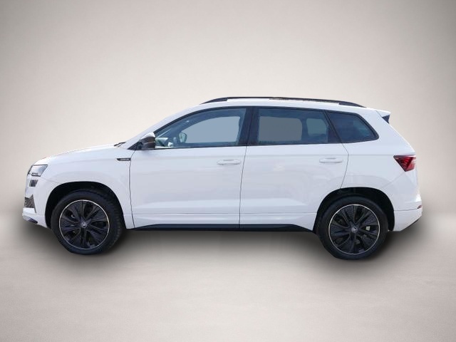 Skoda Karoq (04/2026, Benzin)