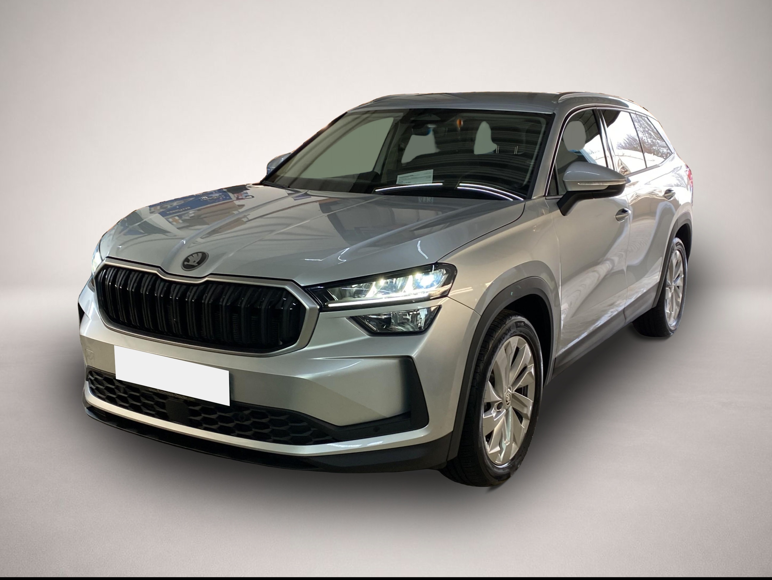 Skoda Kodiaq (06/2024, )