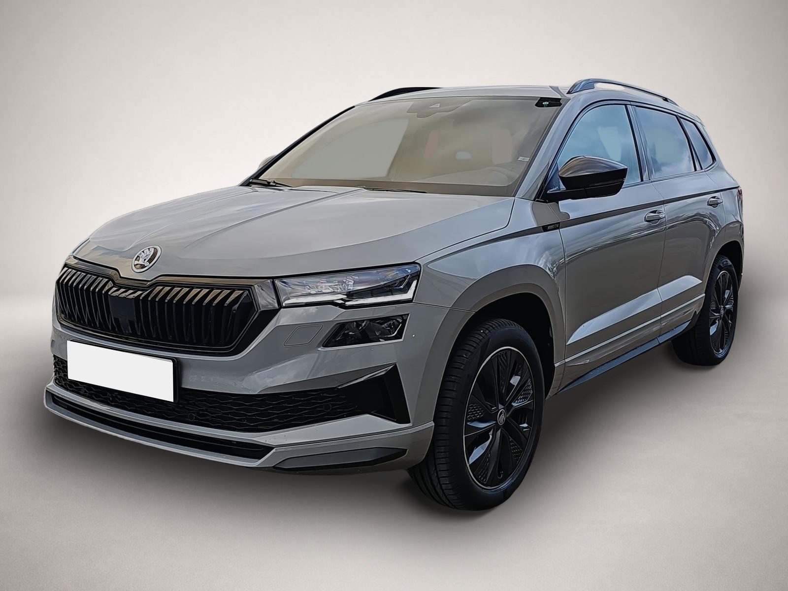 Skoda Karoq (05/2026, Benzin)