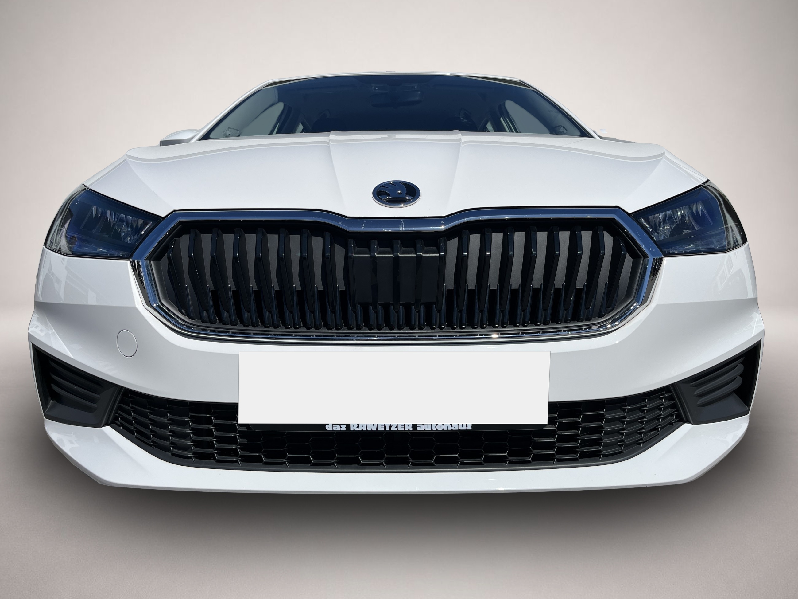 Skoda Fabia (12/2022, Benzin)